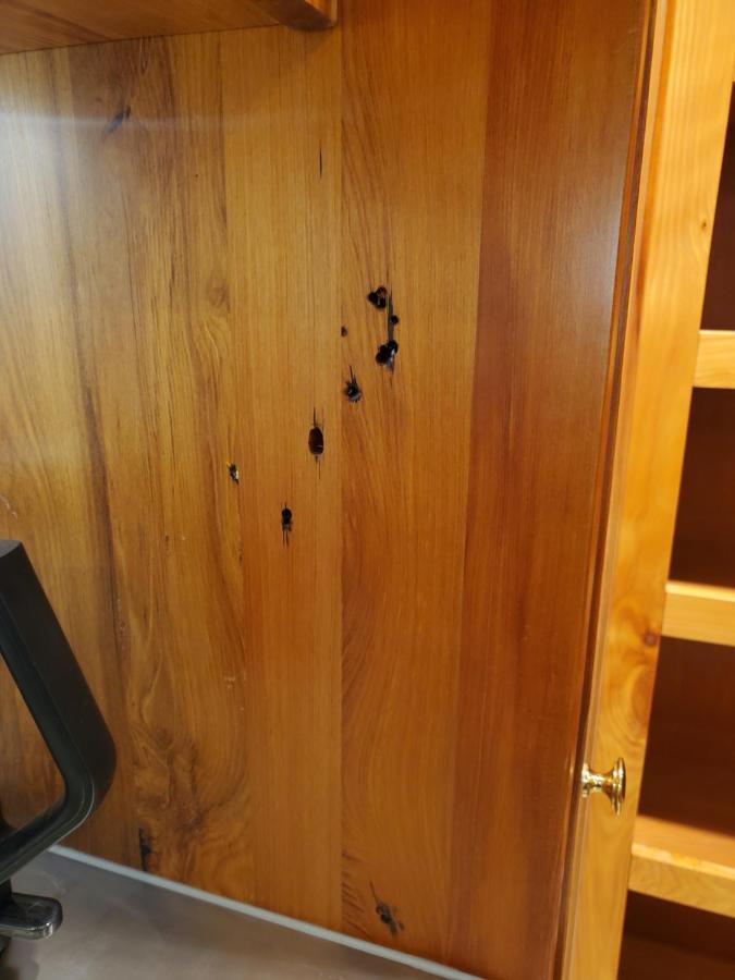 Koru Flat Διαμέρισμα Ντούνεντιν Εξωτερικό φωτογραφία